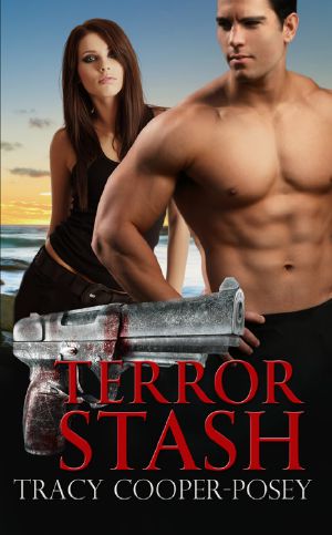 [Romantic Thrillers 01] • Terror Stash
